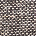 HT0024 var.4